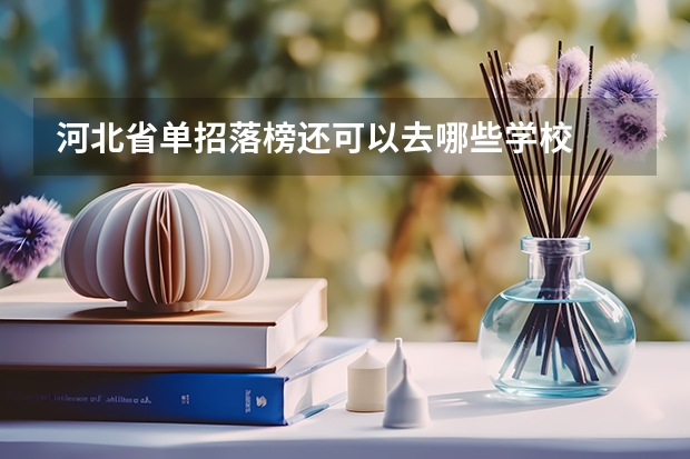 河北省单招落榜还可以去哪些学校