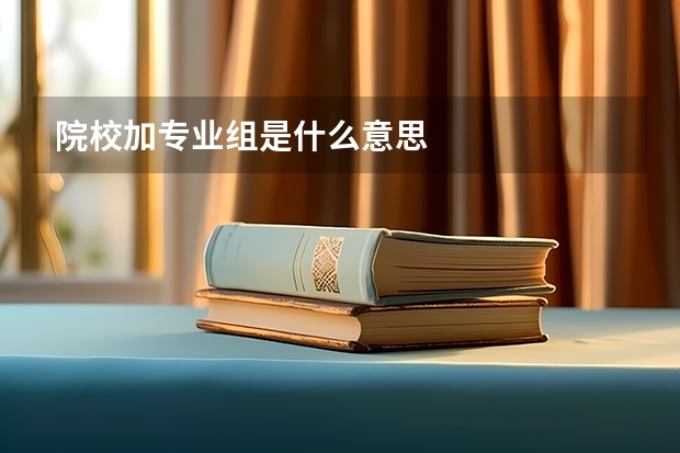 院校加专业组是什么意思