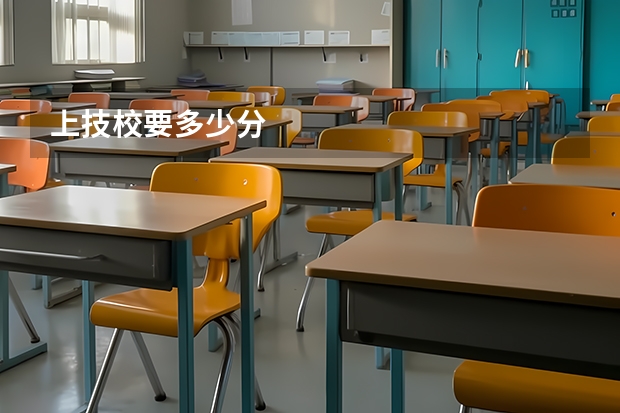 上技校要多少分