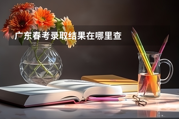 广东春考录取结果在哪里查