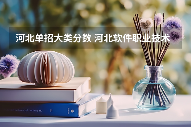 河北单招大类分数 河北软件职业技术学院单招分数线