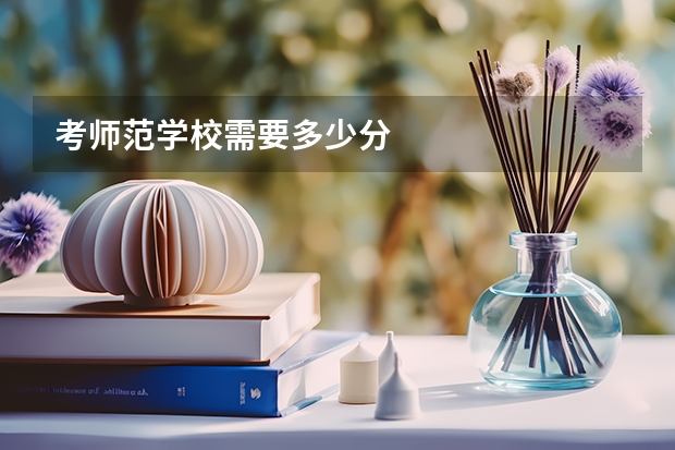 考师范学校需要多少分
