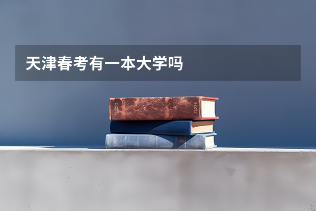 天津春考有一本大学吗