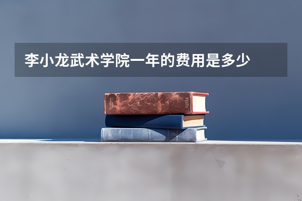 李小龙武术学院一年的费用是多少