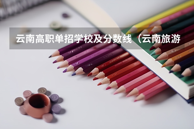 云南高职单招学校及分数线（云南旅游职业技术学院单招分数）