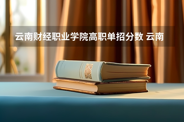 云南财经职业学院高职单招分数 云南旅游职业技术学院单招分数