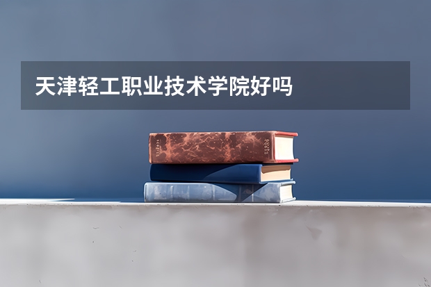 天津轻工职业技术学院好吗