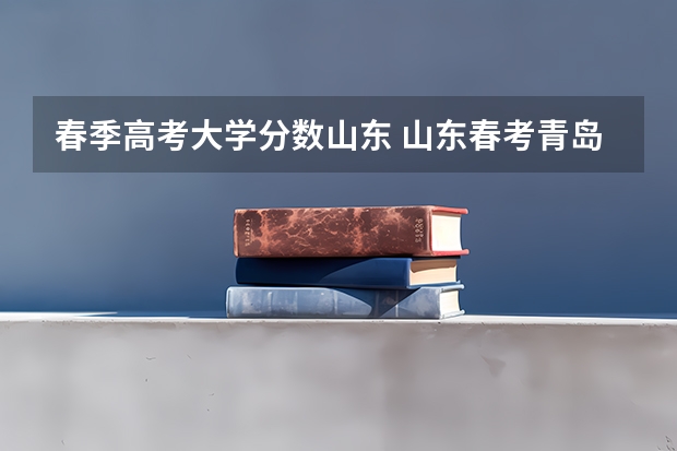 春季高考大学分数山东 山东春考青岛科技大学分数线