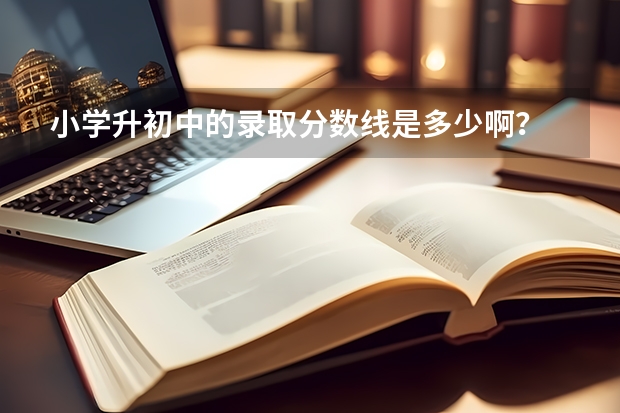 小学升初中的录取分数线是多少啊？