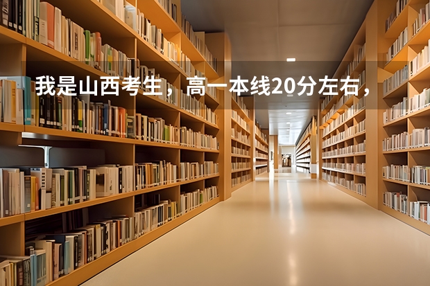 我是山西考生，高一本线20分左右，请问上海对外贸易学院和山西财经哪个更好？跪求！明天就报志愿了啊~~~
