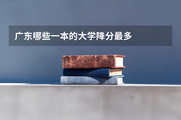广东哪些一本的大学降分最多