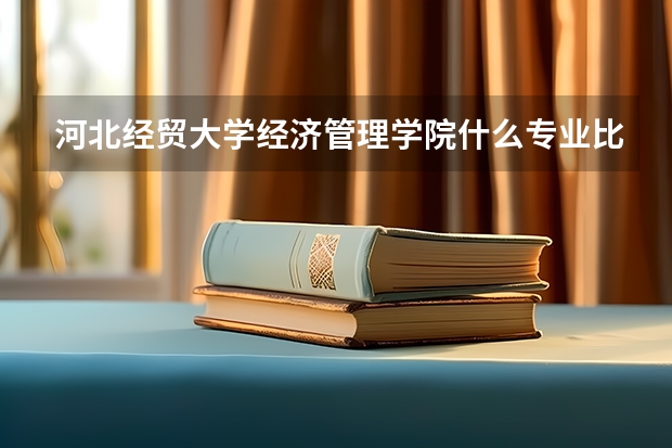 河北经贸大学经济管理学院什么专业比较好！