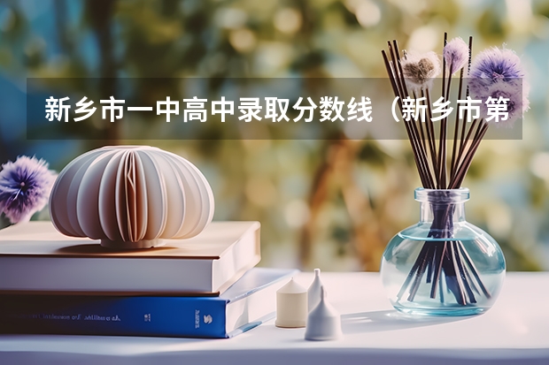 新乡市一中高中录取分数线（新乡市第二批中考录取分数线）