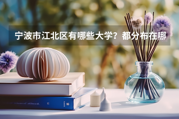 宁波市江北区有哪些大学？都分布在哪里？