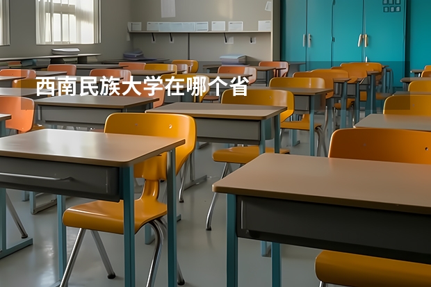西南民族大学在哪个省