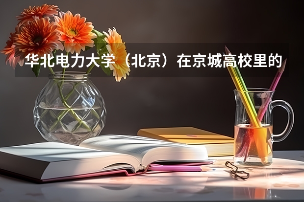 华北电力大学（北京）在京城高校里的地位如何？