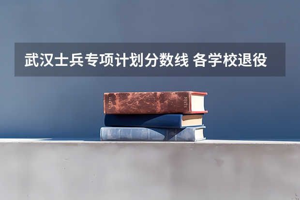 武汉士兵专项计划分数线 各学校退役士兵计划分数线？