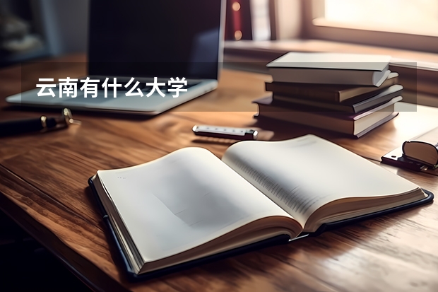 云南有什么大学