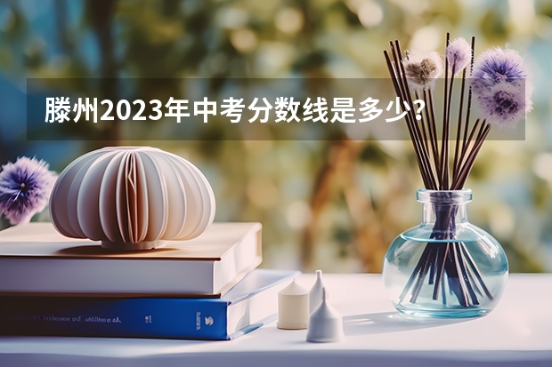 滕州2023年中考分数线是多少？