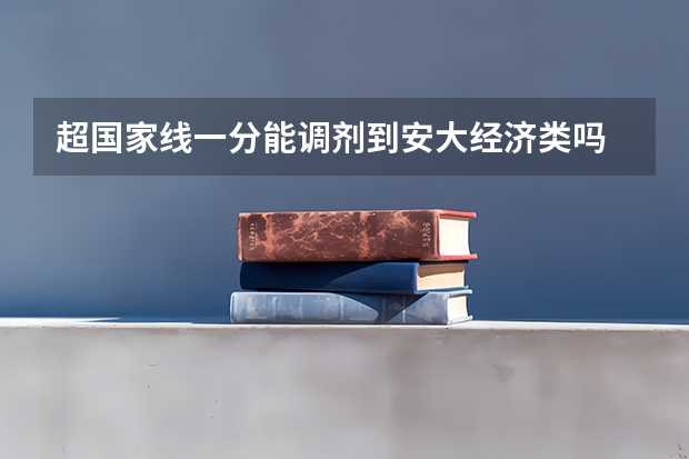 超国家线一分能调剂到安大经济类吗