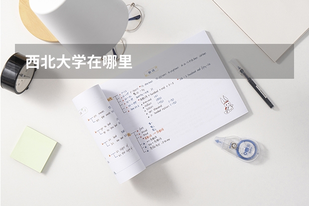 西北大学在哪里