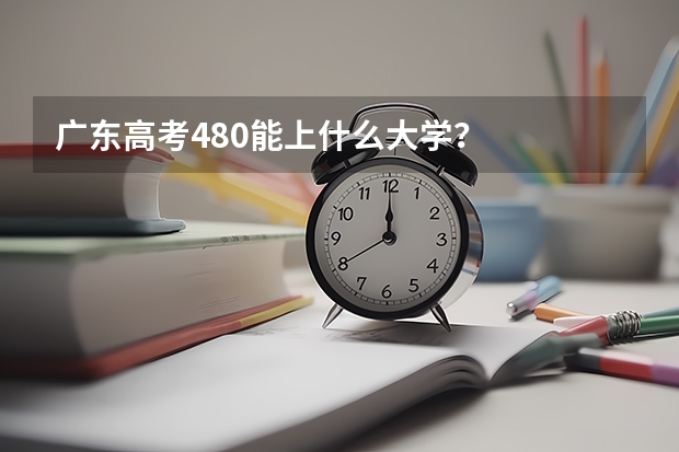广东高考480能上什么大学?