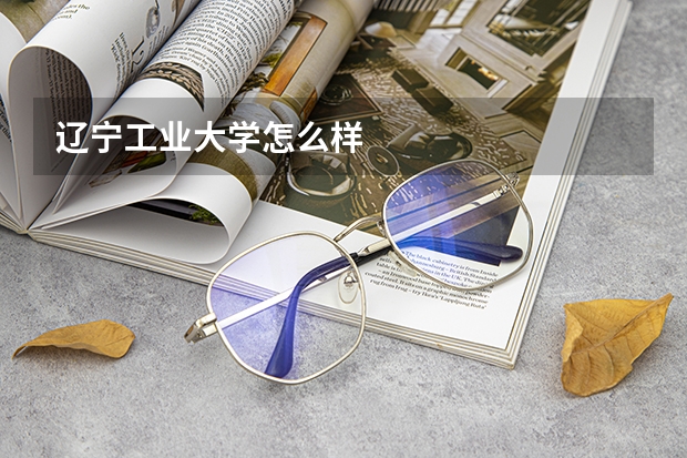 辽宁工业大学怎么样
