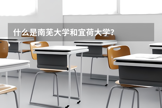 什么是南芜大学和宜荷大学？